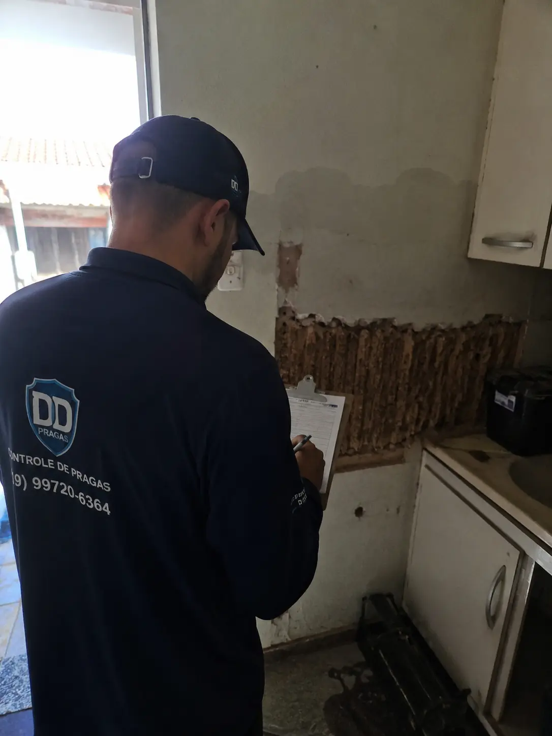Pontos críticos para Dedetização